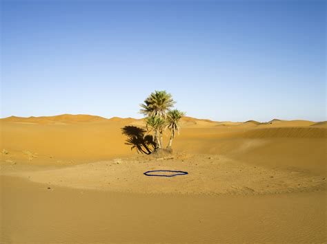 © Alfredo De Stefano ‘Oasis’ Sahara Desert, Morocco – ~ Talking Pictures