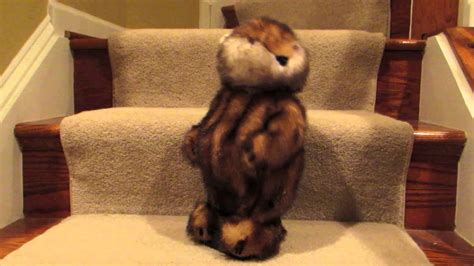 The Caddyshack Gopher Toy Youtube