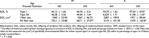 The Effect Of Maternal Undernutrition During Pregnancy On Structure Of