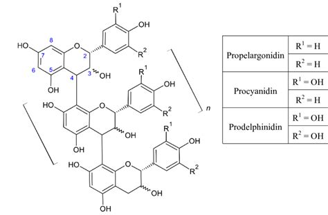 Proanthocyanidin Polymer Structure And Monomeric Flavan Ol Precursors