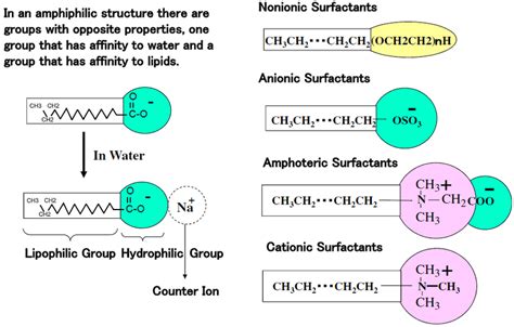 1 Molecular Structure And Classication Of Various Surfactant