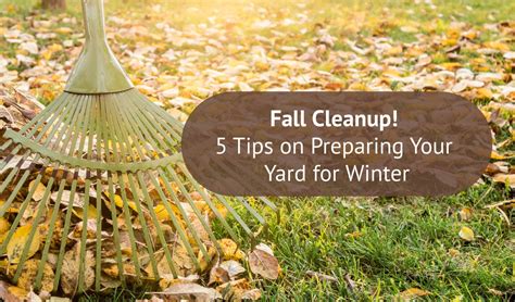 Fall Cleanup! 5 Tips on Preparing Your Yard for Winter - VaVia