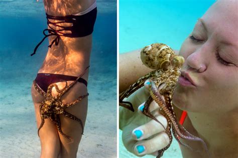 Best Snorkeling Hawaii Women Have Close Encounter With Group Of Octopuses Daily Star