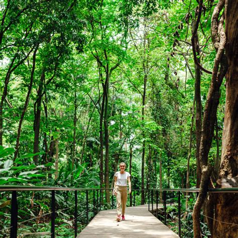 Botanical Garden - Medellín.Travel