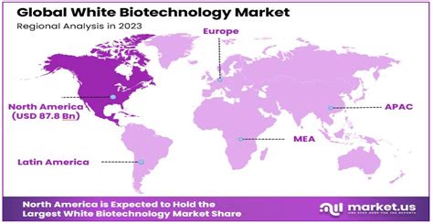 White Biotechnology Market Share Size CAGR Of 4 6