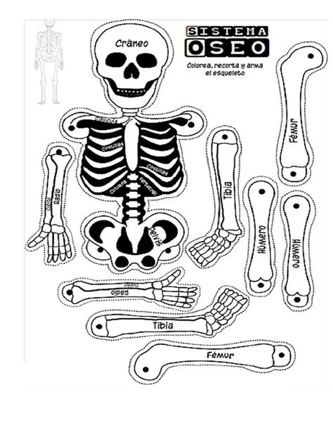Imprimir Ciencia | PDF