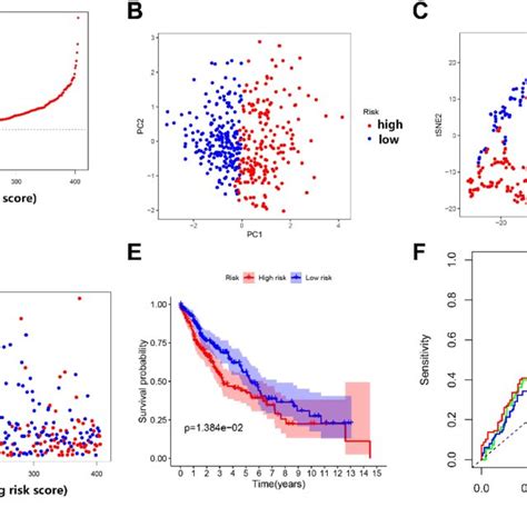 Comparison Of High And Low Risk Groups In The Tcga Dataset A Patient