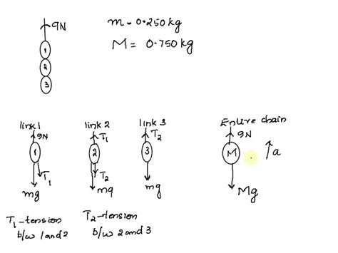 Solved Astudent Suspends A Chain Consisting Of Three Links Each Of