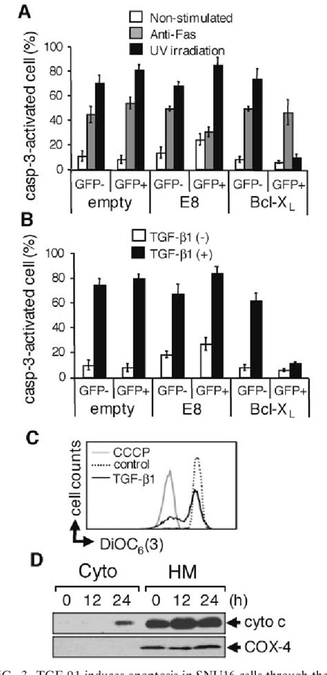 Figure 3 From Transforming Growth Factor Dependent Sequential