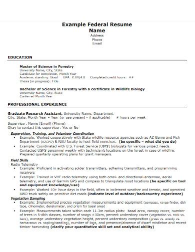 Federal Resume 16 Examples How To Write Pdf