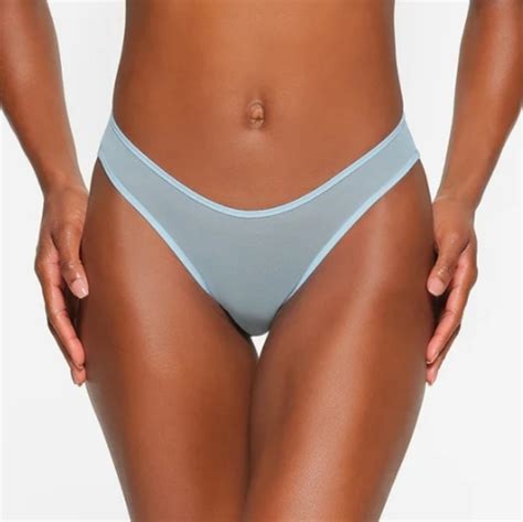 Skims Intimates Sleepwear Skims Ultra Fine Mesh Bikini Underwear Glacier Poshmark