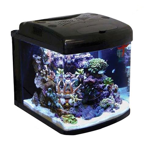 Nano Aquarium Pro Sauerstoffmangel Aquarium