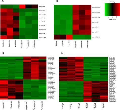 Expression Profile Of The Sex Associated Known Mirnas Differential Download Scientific Diagram