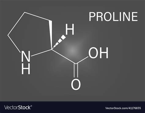 Proline Amino Acid Molecule Skeletal Formula Vector Image