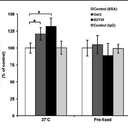 Effects Of Muc And Muc Galectin On Cancer Cell Huvec Adhesion