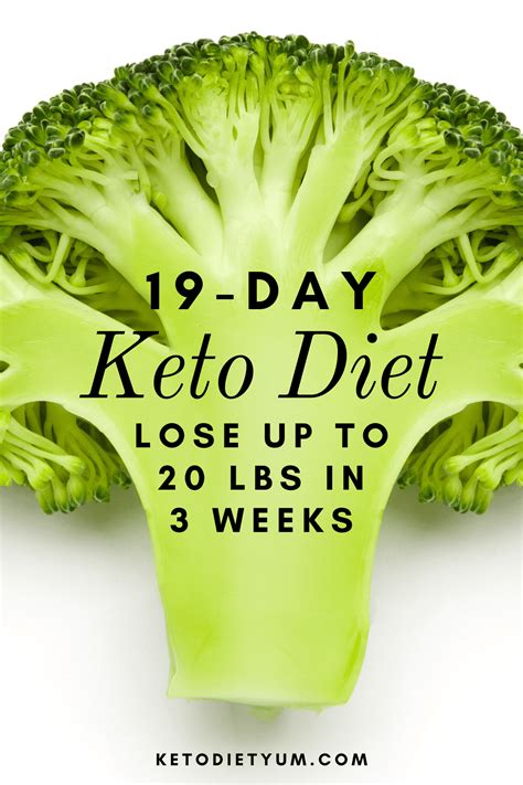 19 Day Keto Diet Plan For Beginners With Easy Recipes Artofit