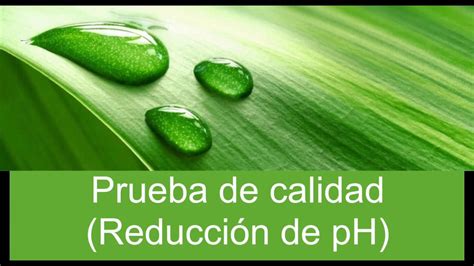 Como Subir Y Bajar El Ph Del Agua De Manera F Cil Youtube