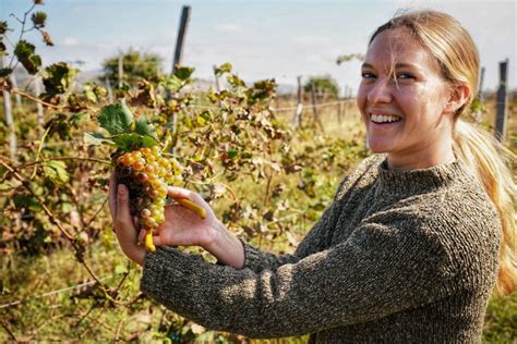 Exploring Orange Wine: A Guide to Georgian Amber Wine