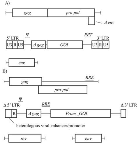 Production Of Retroviral And Lentiviral Gene Therapy Vectors