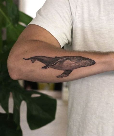 Humpback Whale Tattoo Whale Tattoos Humpback Whale Tattoo Black Ink