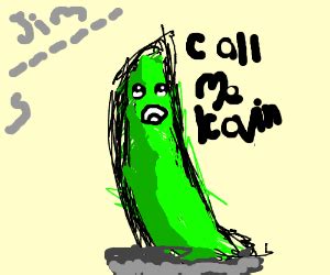 Jim Pickens (CallMeKevin) - Drawception