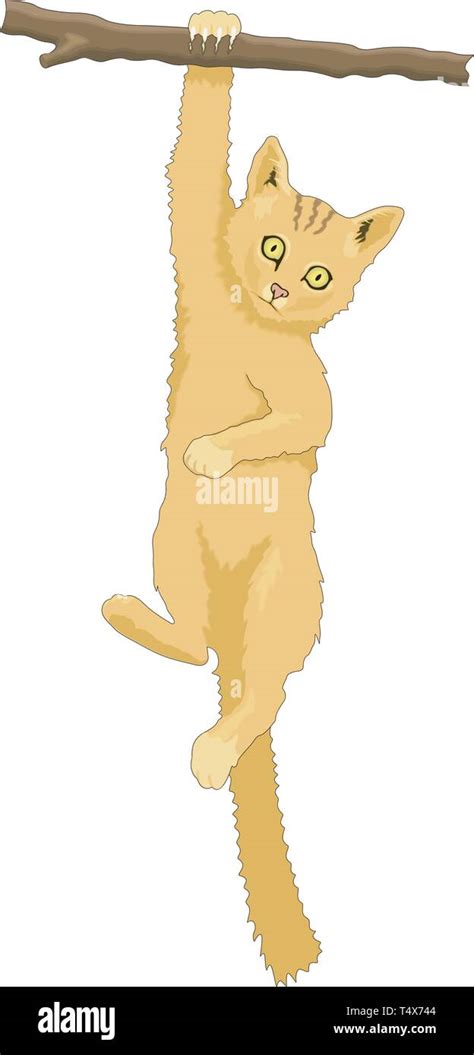 Cat Hanging Vector Illustration Stock Vector Image & Art - Alamy