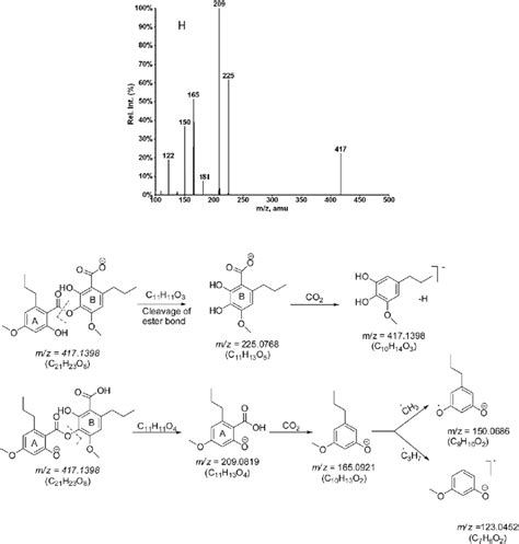 CID MS MS spectra of M À H À and the proposed fragmentation pathway