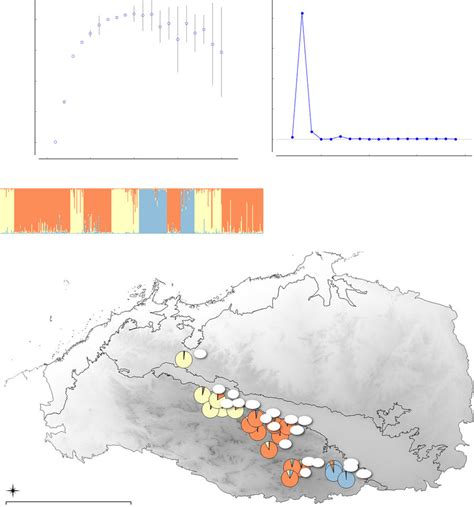 Assignment Of Individuals And Populations To Three Genetic Clusters Download Scientific Diagram