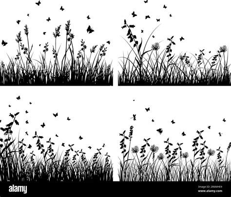 Set Of Four Vector Grass Silhouettes Backgrounds Stock Vector Image And Art Alamy