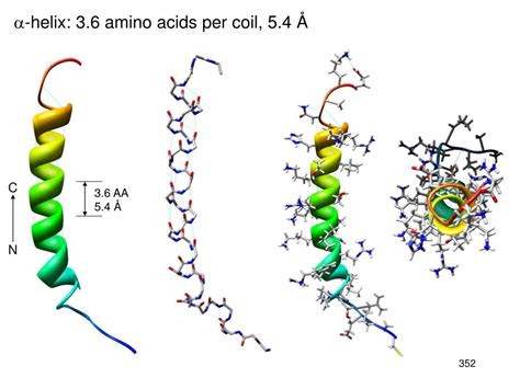 Ppt Chapter 25 Amino Acids Peptides And Proteins Monomer Unit Amino Acids Biopolymer