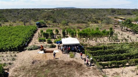 Embrapa E Eletrobras Chesf Realizam Dia De Campo Sobre Manejo De