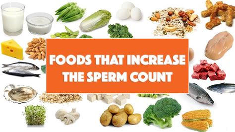 Food That Helps To Improve The Sperm Production In Men Youtube