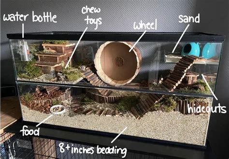 Gerbil Cage Setup : r/gerbils