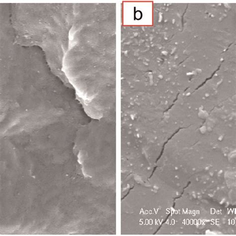 SEM Images Of The Fractured Surface Of EP A EP MnCNTs Composites B