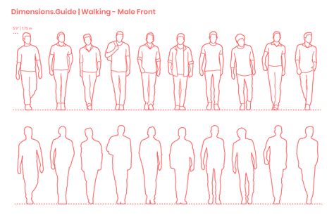 Crouching - Men (Side) Dimensions & Drawings | Dimensions.com