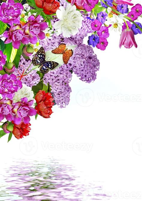 floral background card. 9962181 Stock Photo at Vecteezy