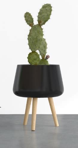 A List of Top 10 Ceramic Planters for Indoor & Outdoor Use