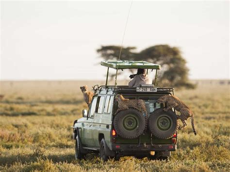 Que Voir Lors D Un Voyage Luxe En Tanzanie S Jour De Luxe Tanzanie