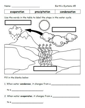 Grade Worksheets Science Worksheets Library