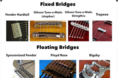 How To Adjust The Bridge On An Electric Guitar At Carlos Miguel Blog