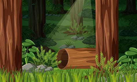 Nature Forest Landscape Background Vector Art At Vecteezy