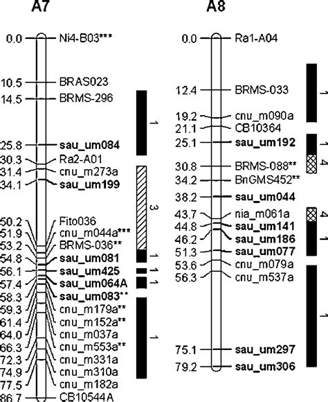 Figure From Development And Linkage Mapping Of Unigene Derived