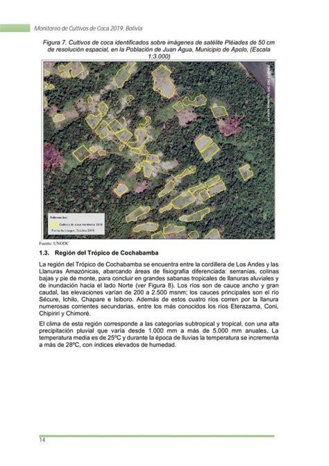 Monitoreo De Cultivos De Coca 2019 De La UNODC En Bolivia PDF