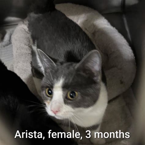 Bedford VA Police... - Bedford VA Police Department