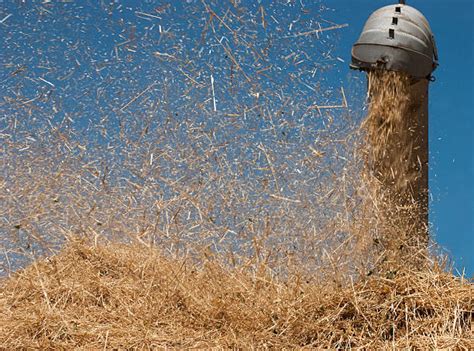 Threshing Wheat Stock Photos, Pictures & Royalty-Free Images - iStock