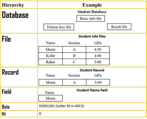 Database Hierarchy