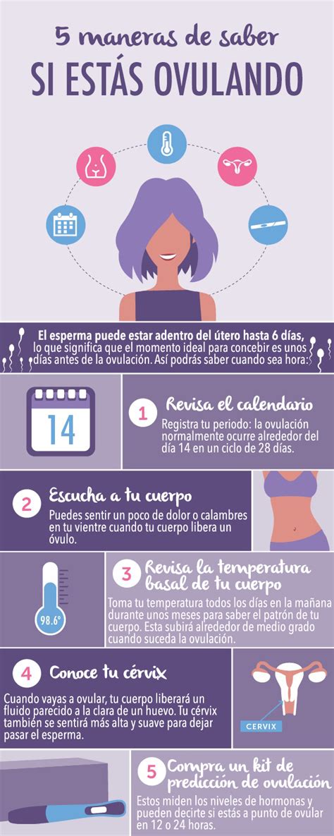 ¿cómo Saber Si Estoy Ovulando Infografía