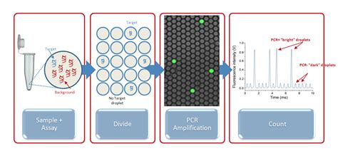 Raindrop Digital Pcr System