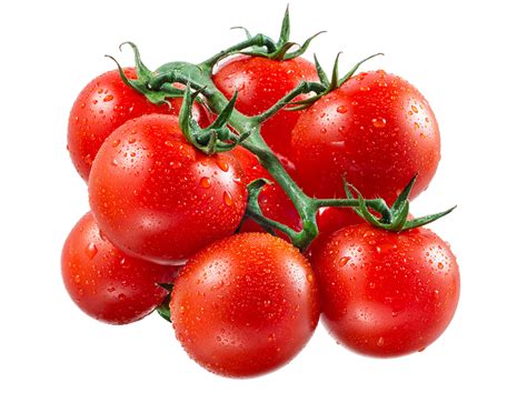 Фотография Красный Помидоры капельки Овощи Продукты питания Много