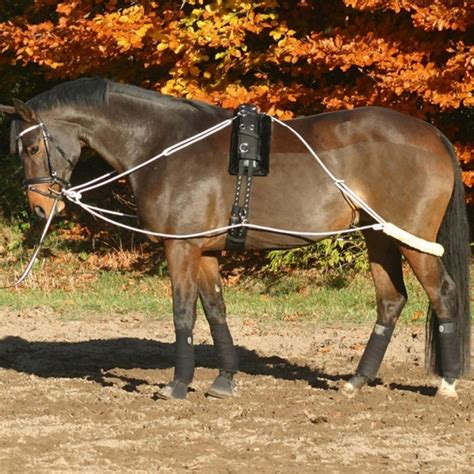 Шлея для лошади: Грамотная работа лошади на корде